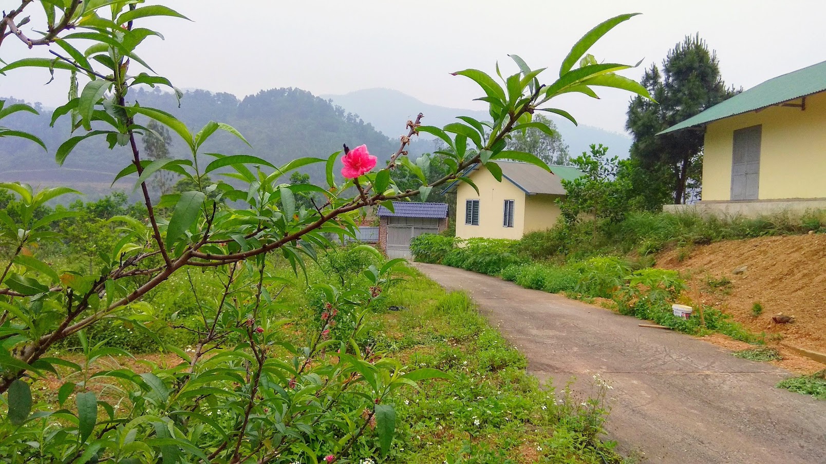 Cảnh quan